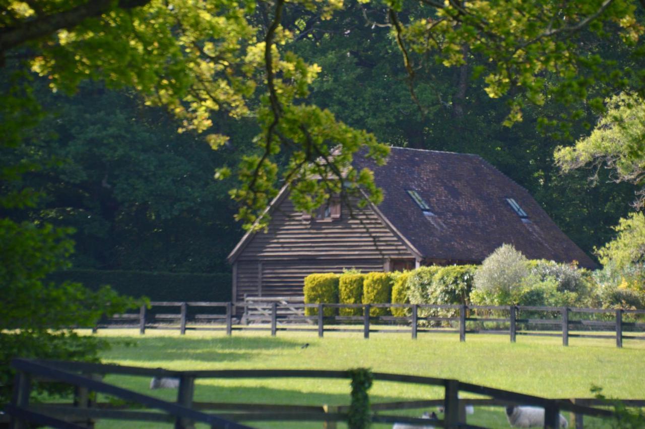 דירות Graffham The Hideaway-South Downs National Park מראה חיצוני תמונה