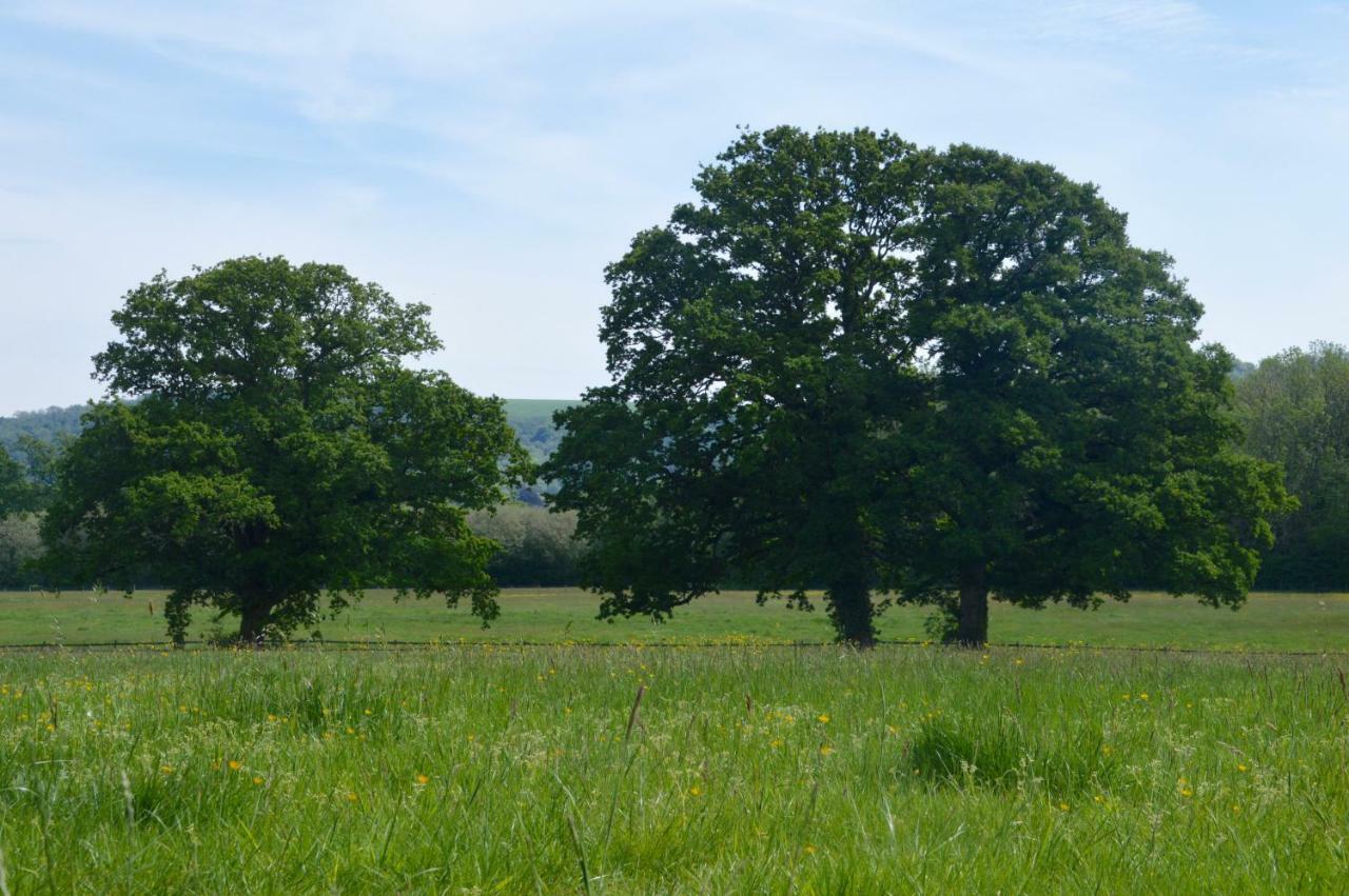 דירות Graffham The Hideaway-South Downs National Park מראה חיצוני תמונה