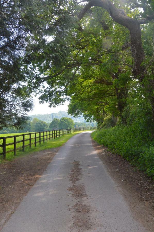 דירות Graffham The Hideaway-South Downs National Park מראה חיצוני תמונה